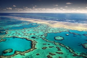 Great Barrier Reef. Photo: Felix Martinez/Getty Images